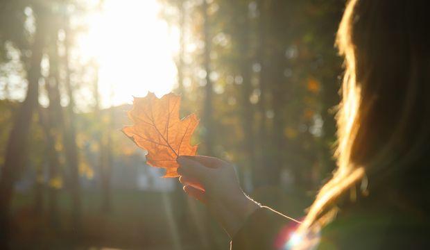 Şimdi ve burada olmanın gücü